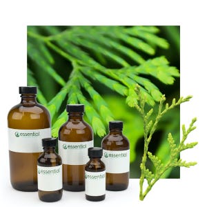 Cypress Essential Oil (Certified Organic)