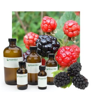Marionberry Natural Fragrance Oil