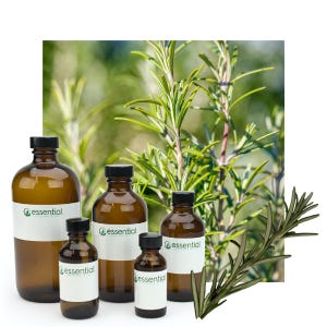 Rosemary Essential Oil (Certified Organic)